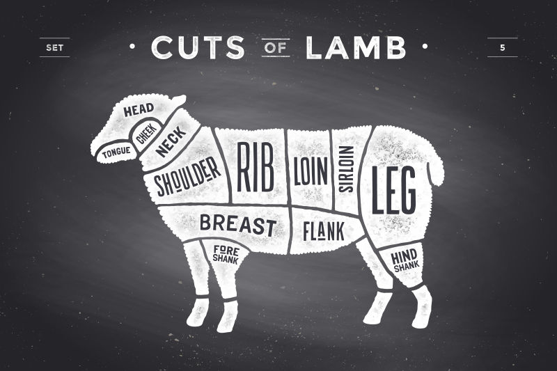 创意矢量牛肉切块的说明海报插图