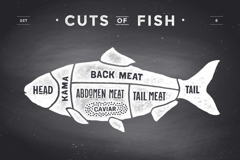 创意矢量鱼肉使用分解图