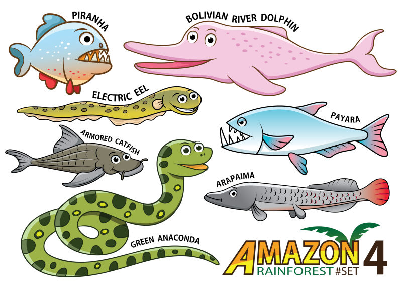 矢量卡通可爱的亚马逊动物