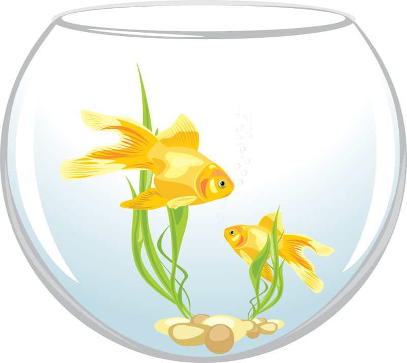 鱼缸里的金鱼矢量插图