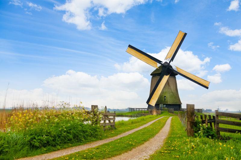 荷兰牧场中的风车