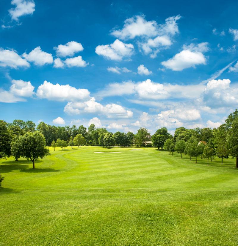 蓝色多云的天空下的绿色高尔夫球场