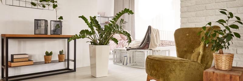 从有绿色植物的现代客厅看卧室