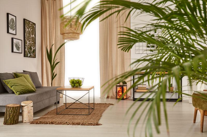 亚麻色和植物绿风格现代客厅