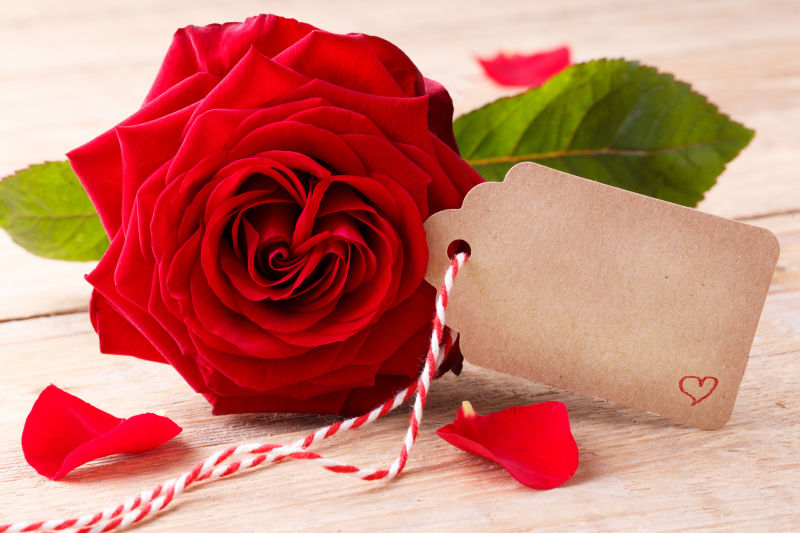 一朵红色玫瑰与卡片