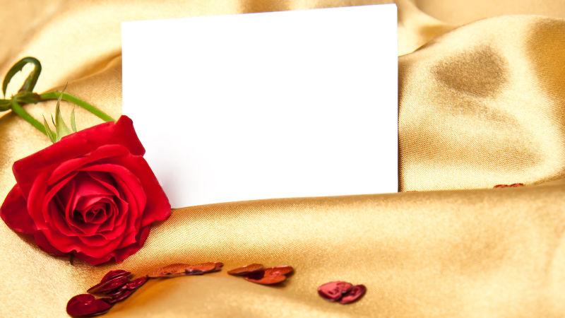 浪漫情人节玫瑰和空白卡片