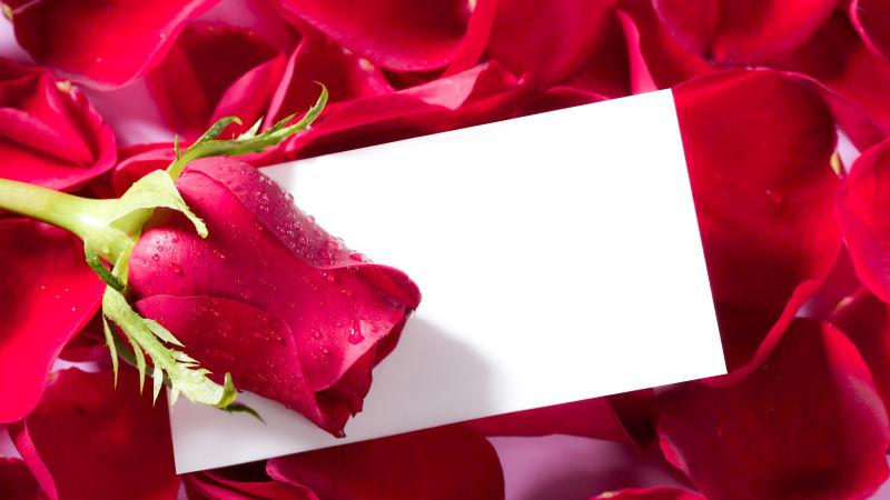 浪漫情人节浪漫玫瑰和卡片