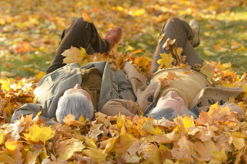 躺在黄色枫叶上的一对老年夫妻
