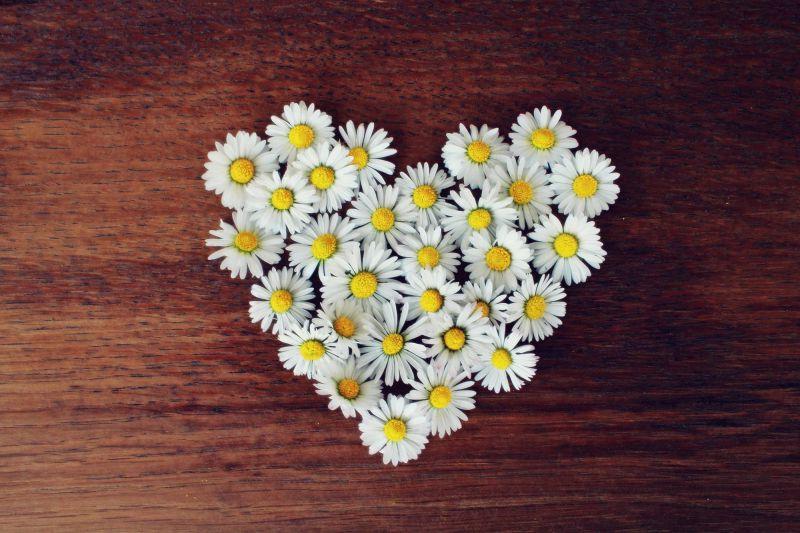 棕色木地板上白色雏菊花花瓣组成的心形