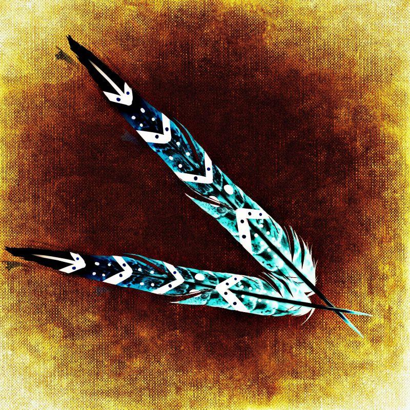 手绘美丽花纹的鸟类羽毛
