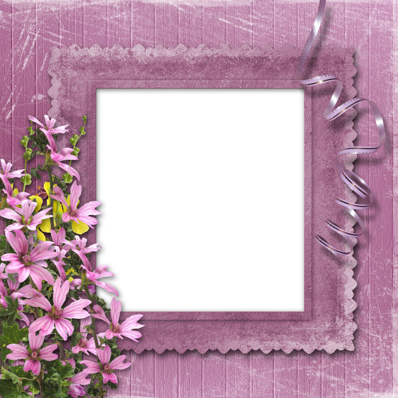 粉红花瓣的空白框架