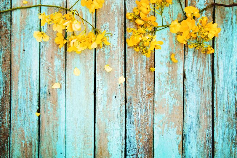 蓝色木板上的黄色的花