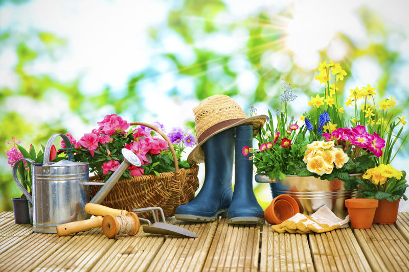木板上的园艺工具和各种花盆