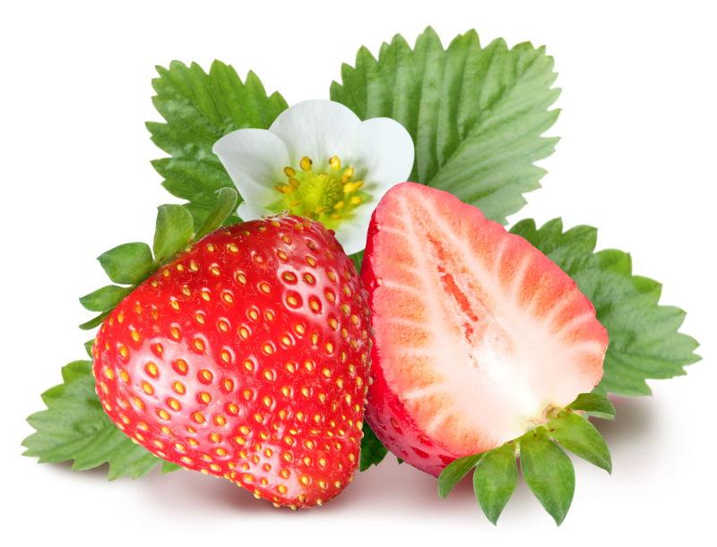 白色背景前的新鲜草莓的叶子