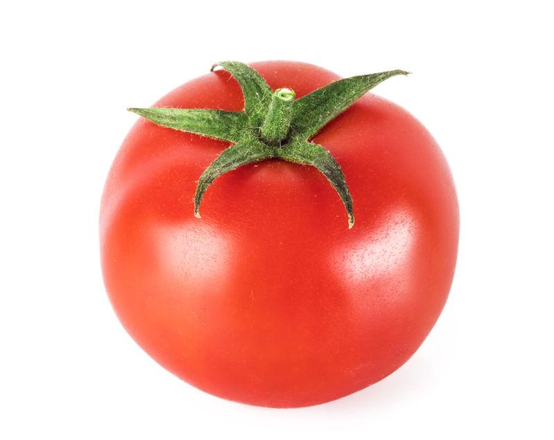 白背番茄