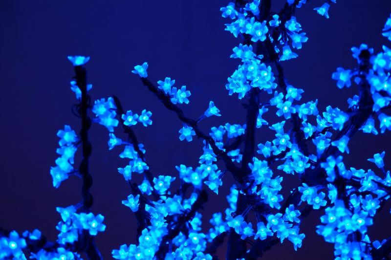 闪闪发亮的蓝花