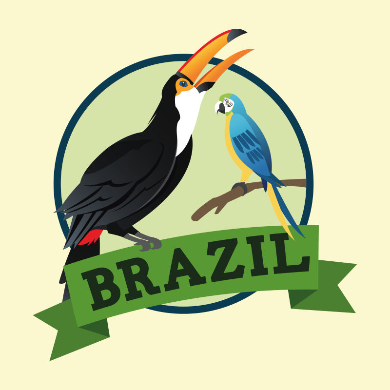 创意矢量巴西鸟类设计插图
