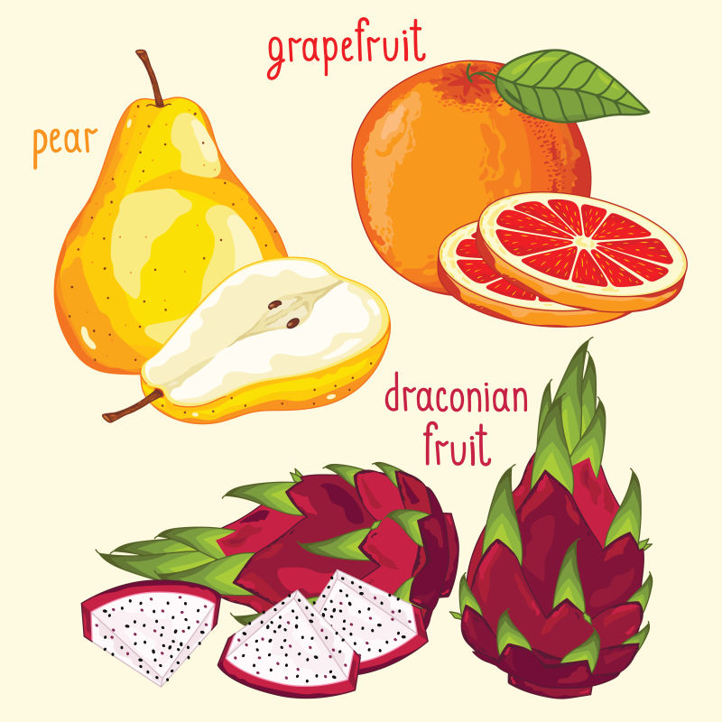 矢量的健康水果插图设计