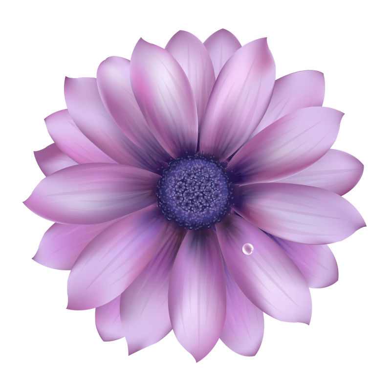 抽象矢量紫丁香花的插图
