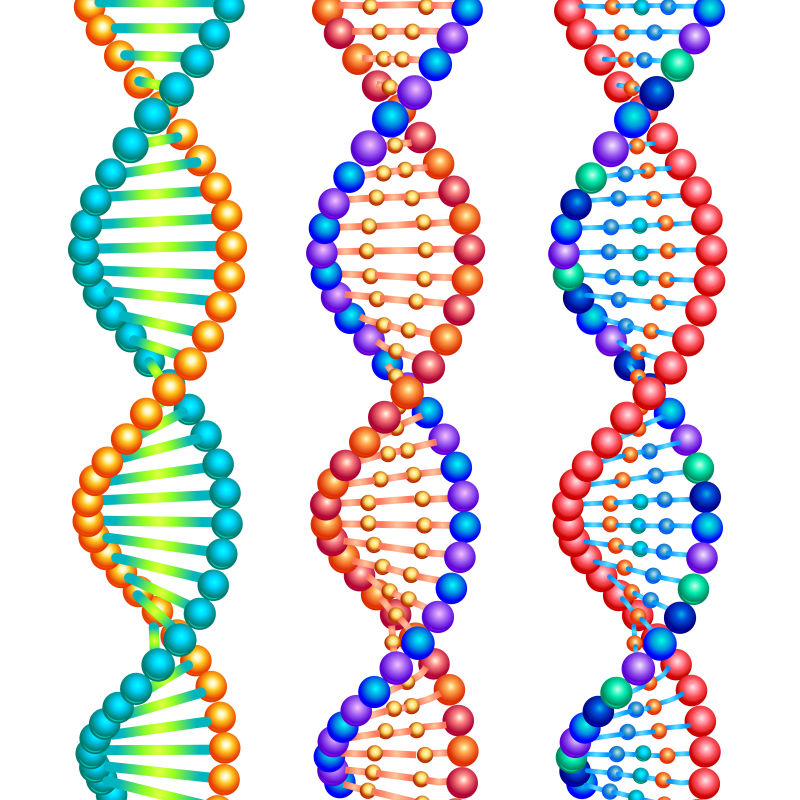 矢量螺旋DNA分子结构