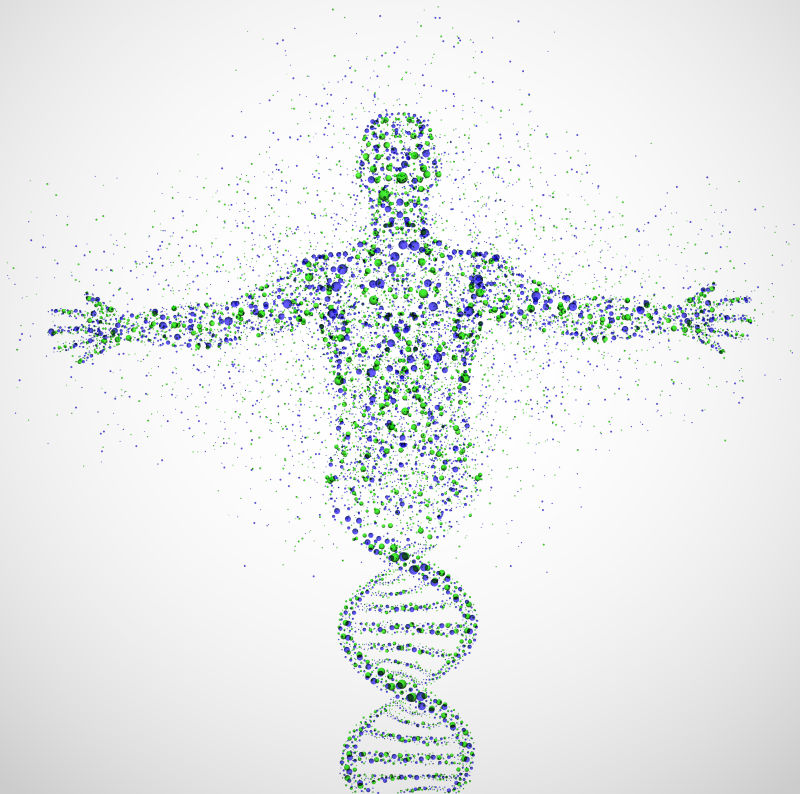矢量人体DNA分子结构
