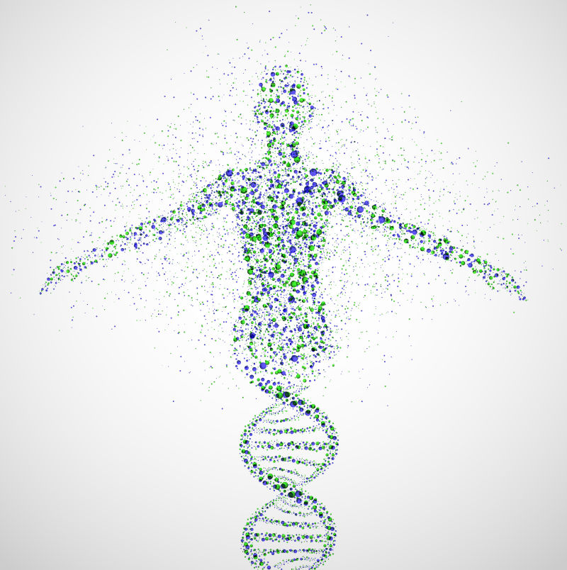 矢量的人体DNA分子结构