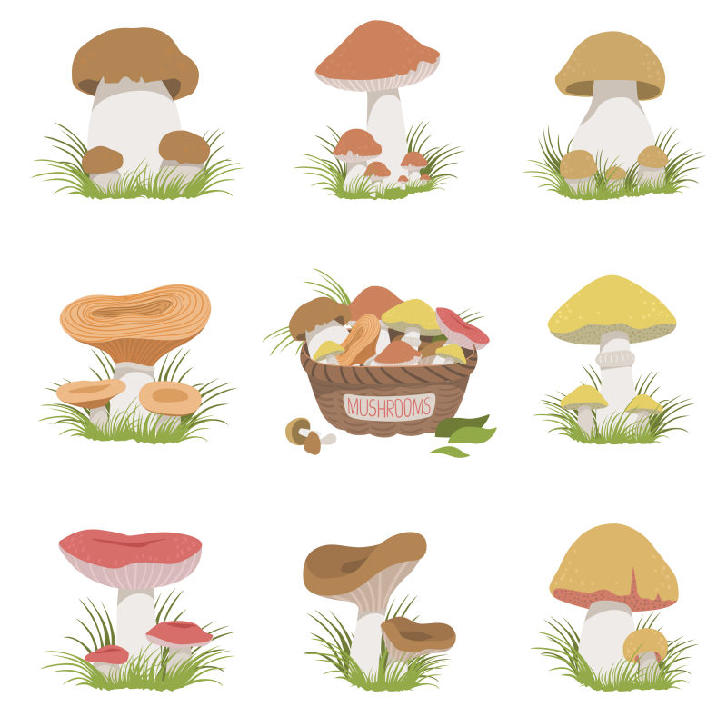 不同颜色的蘑菇矢量插图设计