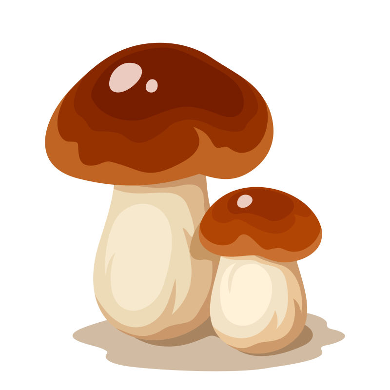 矢量卡通蘑菇插图设计