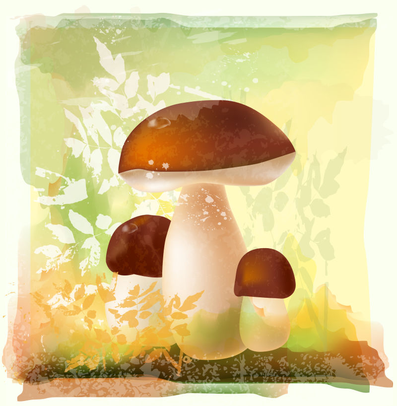 森林中的蘑菇矢量插图