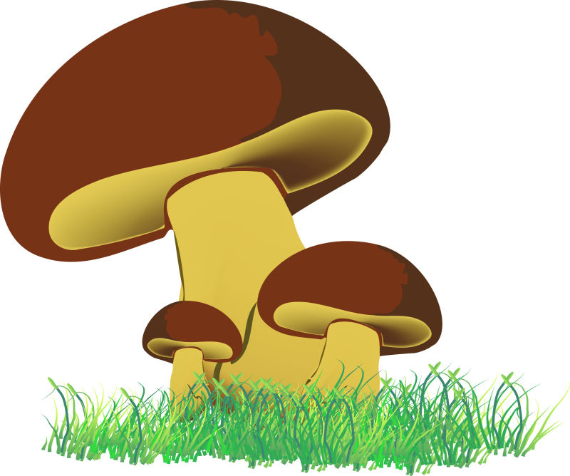卡通蘑菇矢量插图设计
