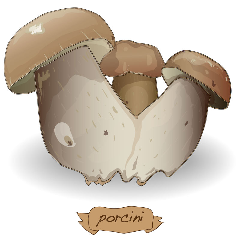卡通蘑菇插图矢量设计