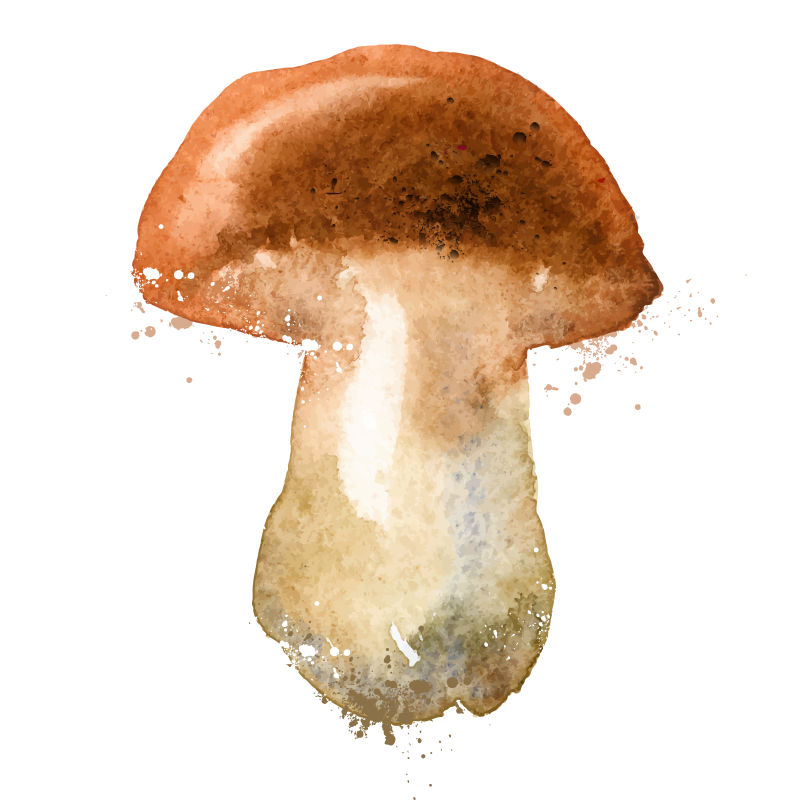 水彩的卡通蘑菇矢量设计