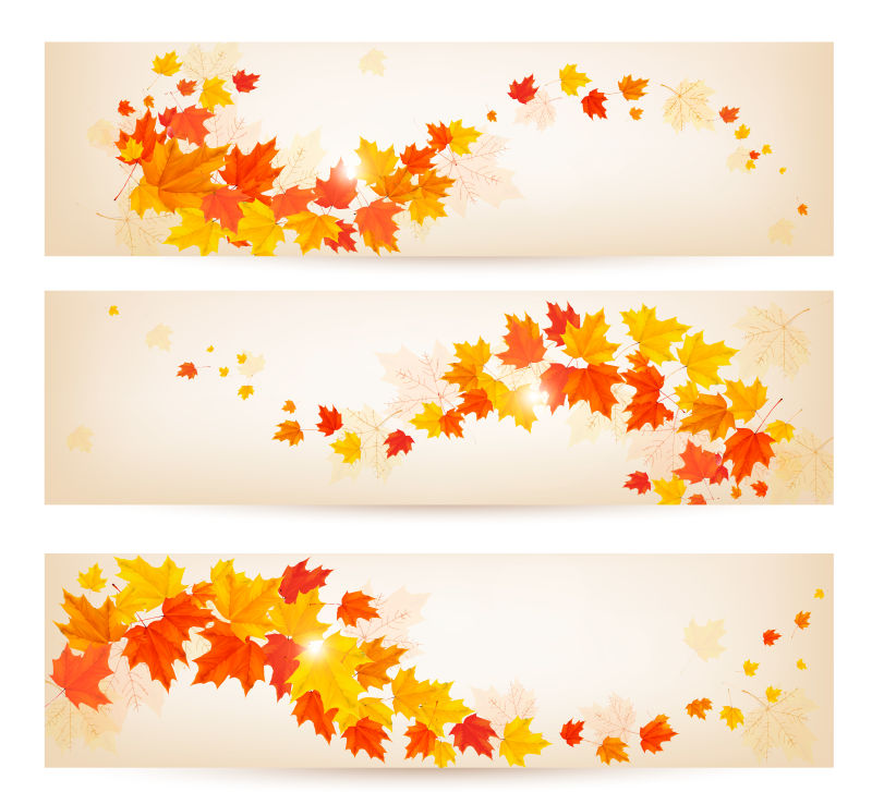 矢量的秋叶图案横幅