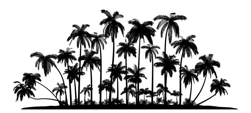 矢量热带树木的剪影插图