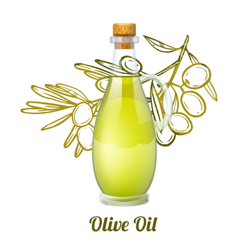 矢量的瓶装橄榄油插图