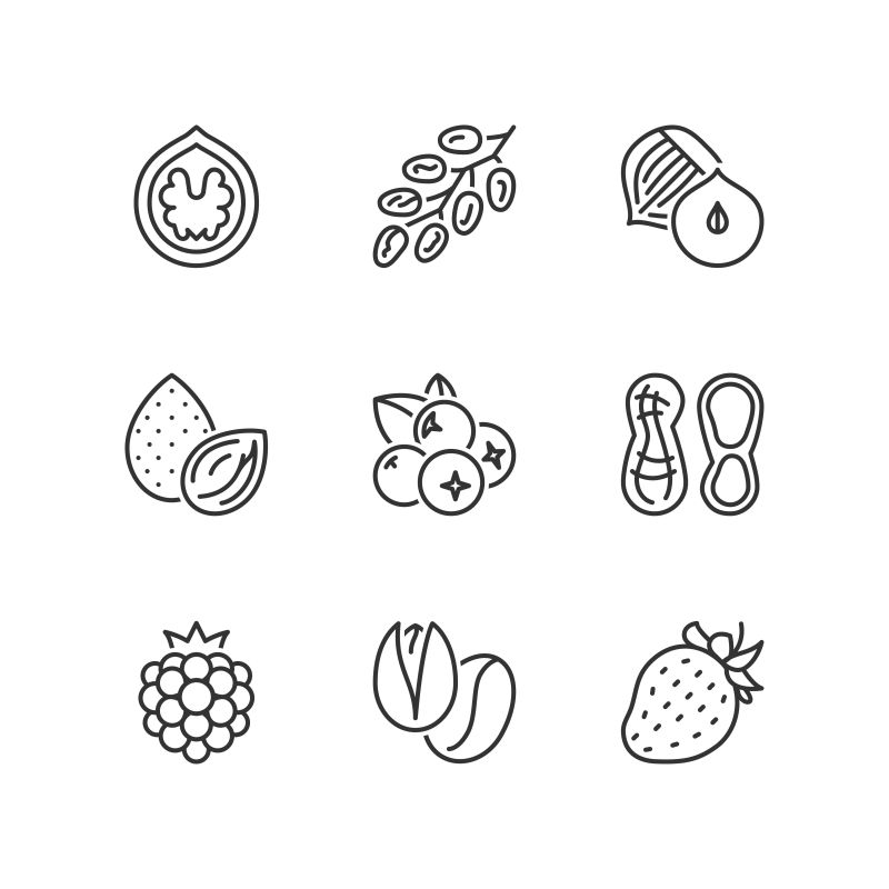 矢量的浆果和坚果图标设计