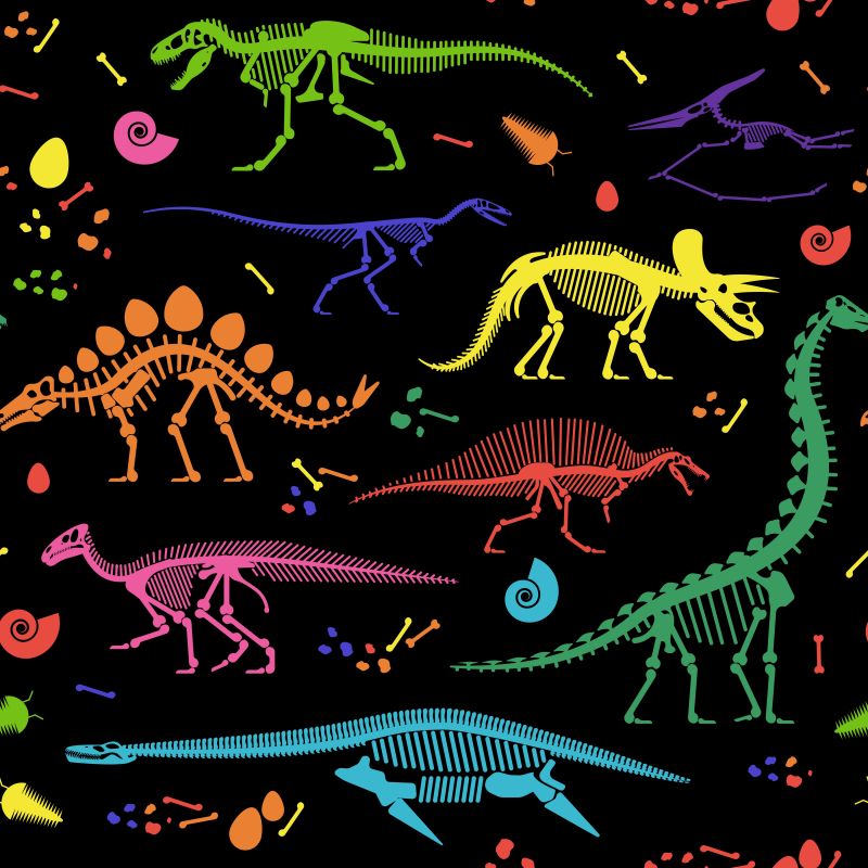 矢量彩色卡通恐龙化石