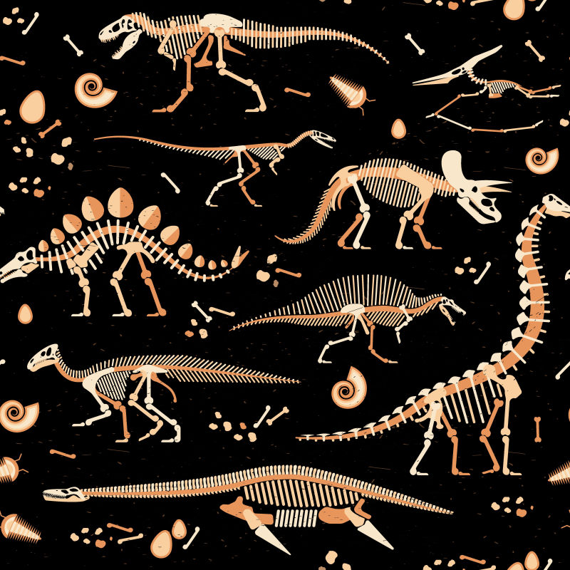 矢量恐龙化石的平面插图