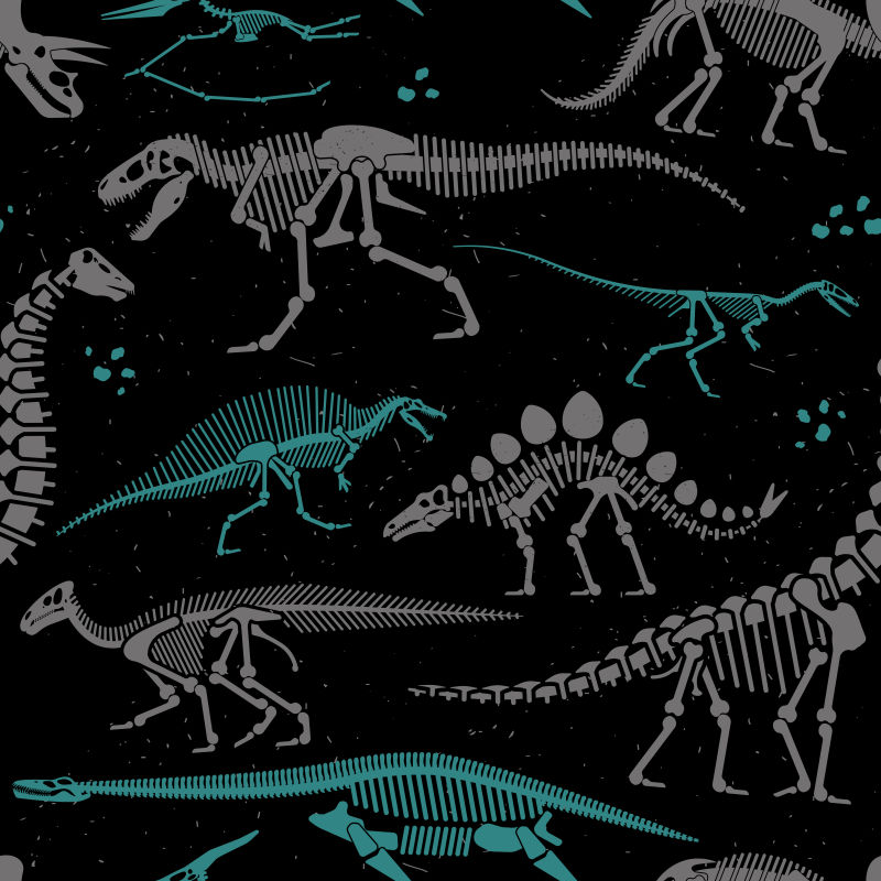 矢量简易抽象恐龙化石的创意插图