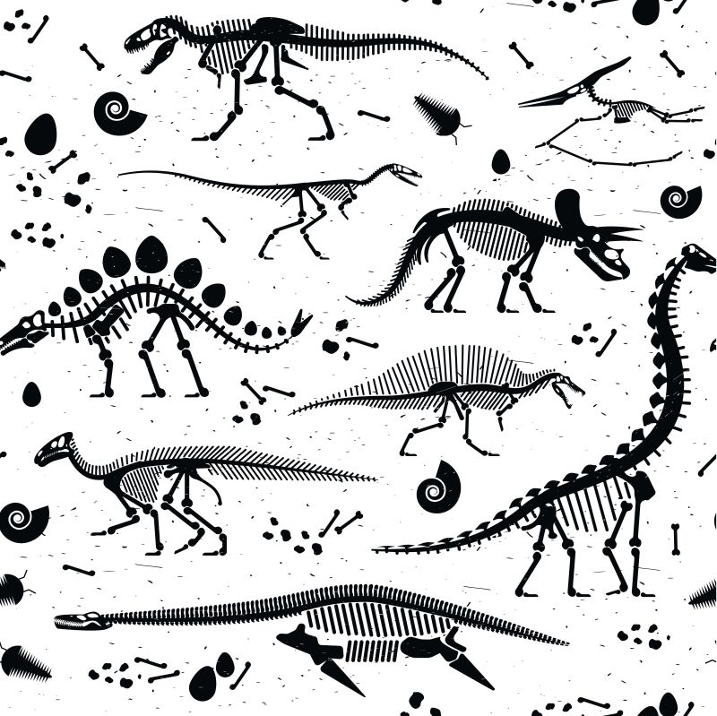 创意矢量黑色的恐龙化石插图