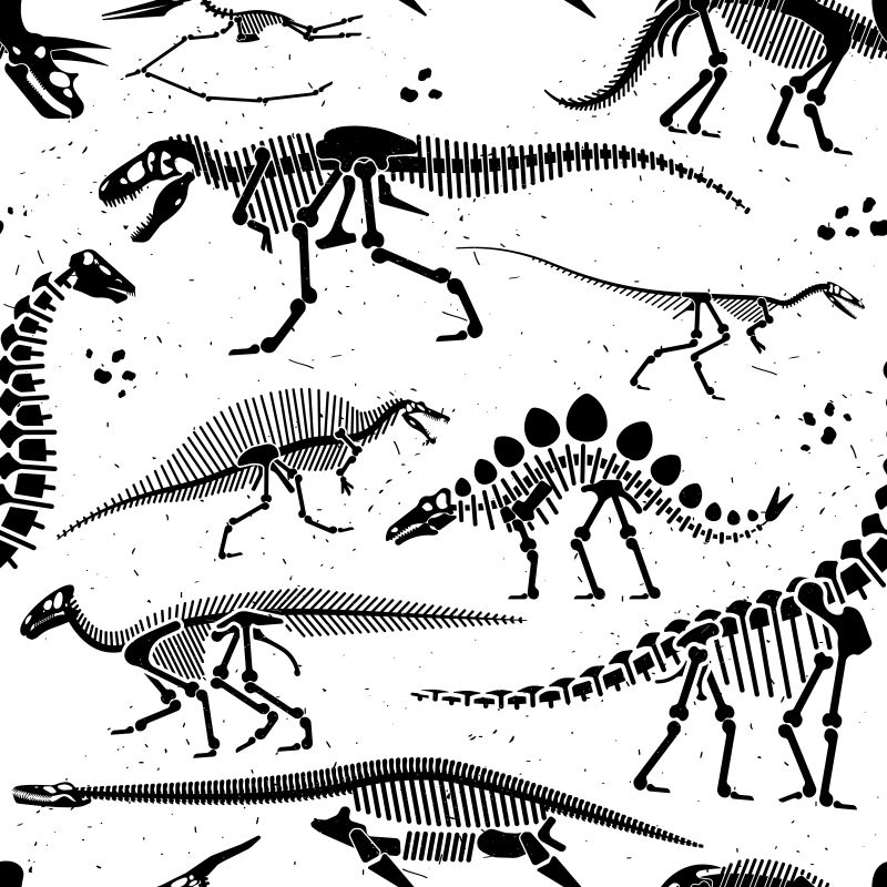 矢量黑色恐龙化石的插图