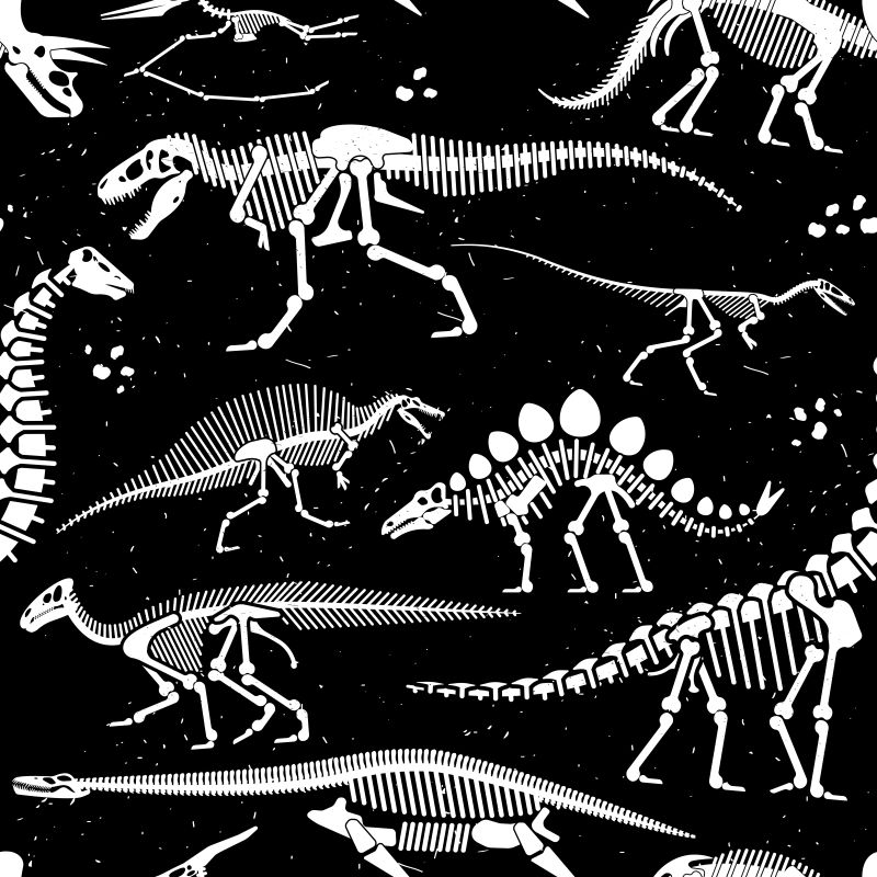 矢量抽象恐龙化石的插图