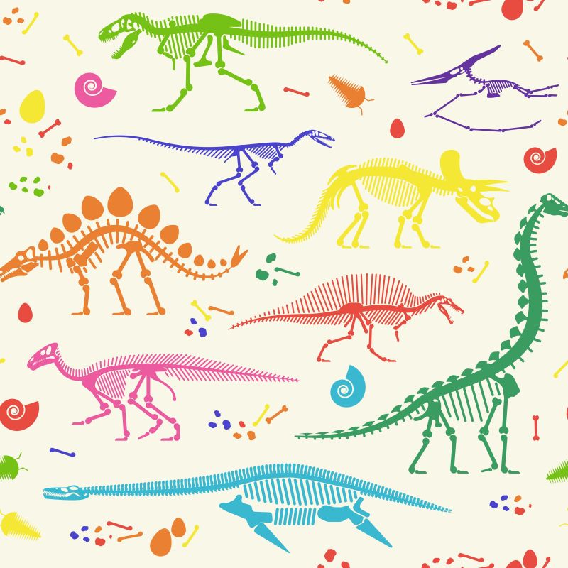 矢量创意恐龙化石的插图