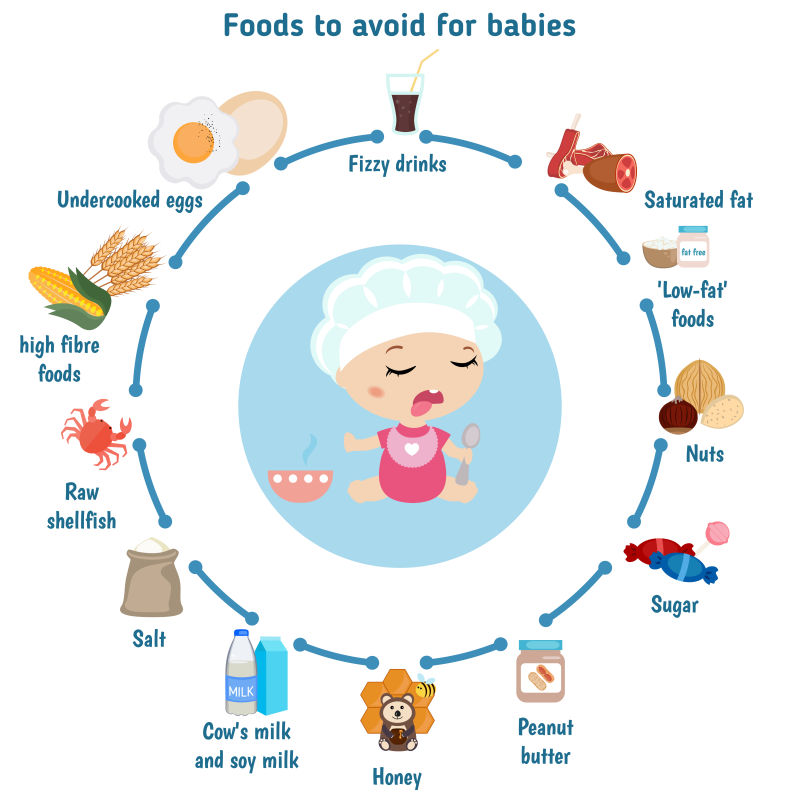 婴儿食物新鲜图表矢量设计