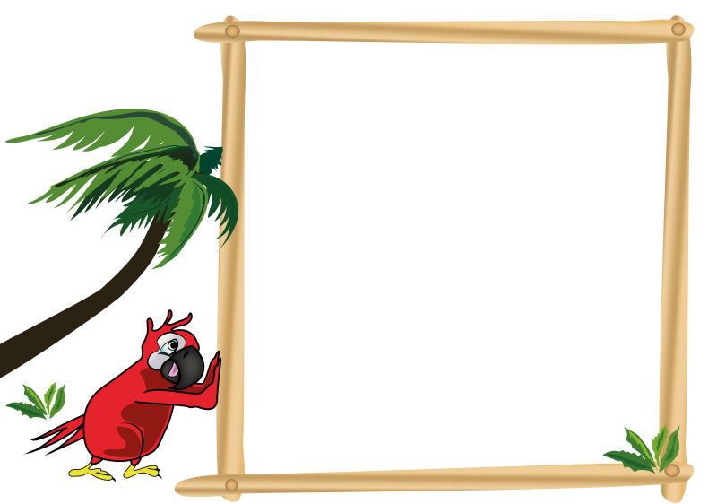 创意矢量热带鹦鹉边框插图