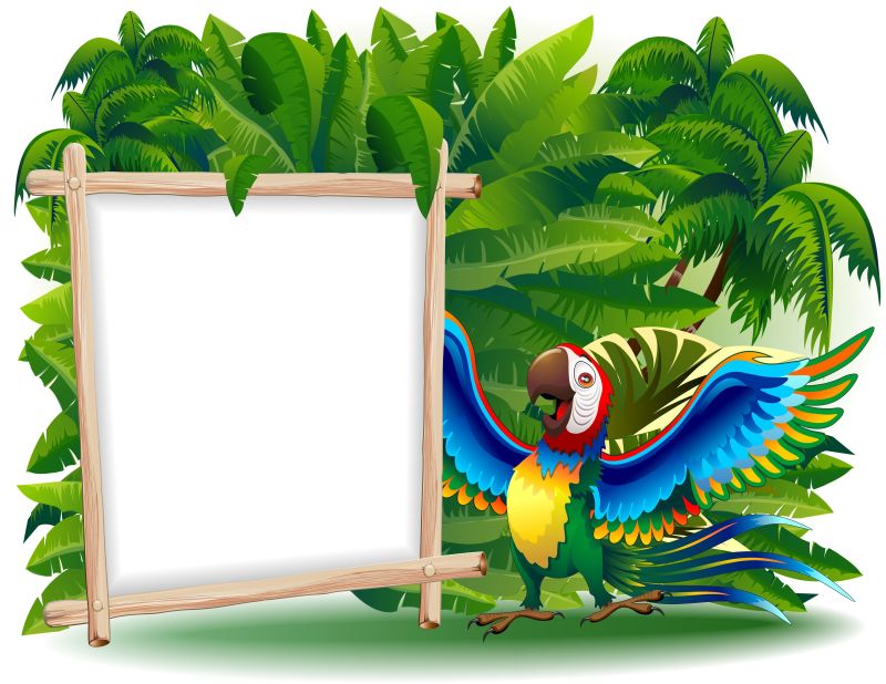 矢量卡通热带鹦鹉的插图