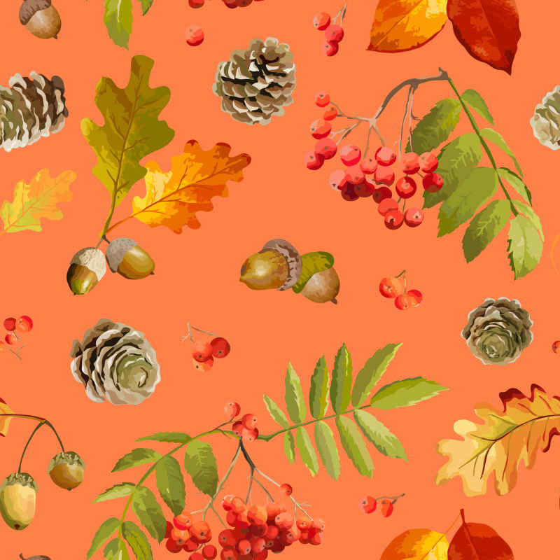 秋天的树叶和果实矢量插图