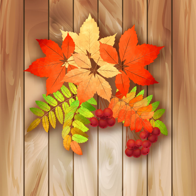 矢量木板上的秋季元素背景