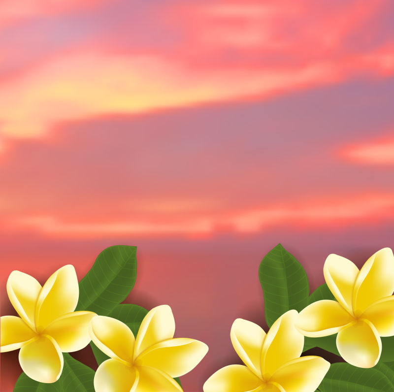 矢量的鸡蛋花和黄昏背景插图