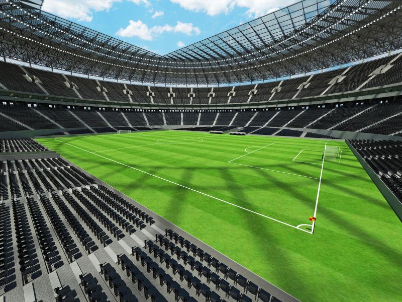 3D圆形足球场美丽的渲染